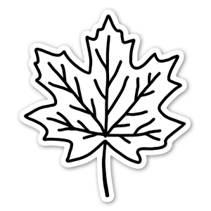 Minimalist maple leaf with chilly autumn vibes.